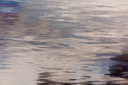 Lake Sequence Project Grids