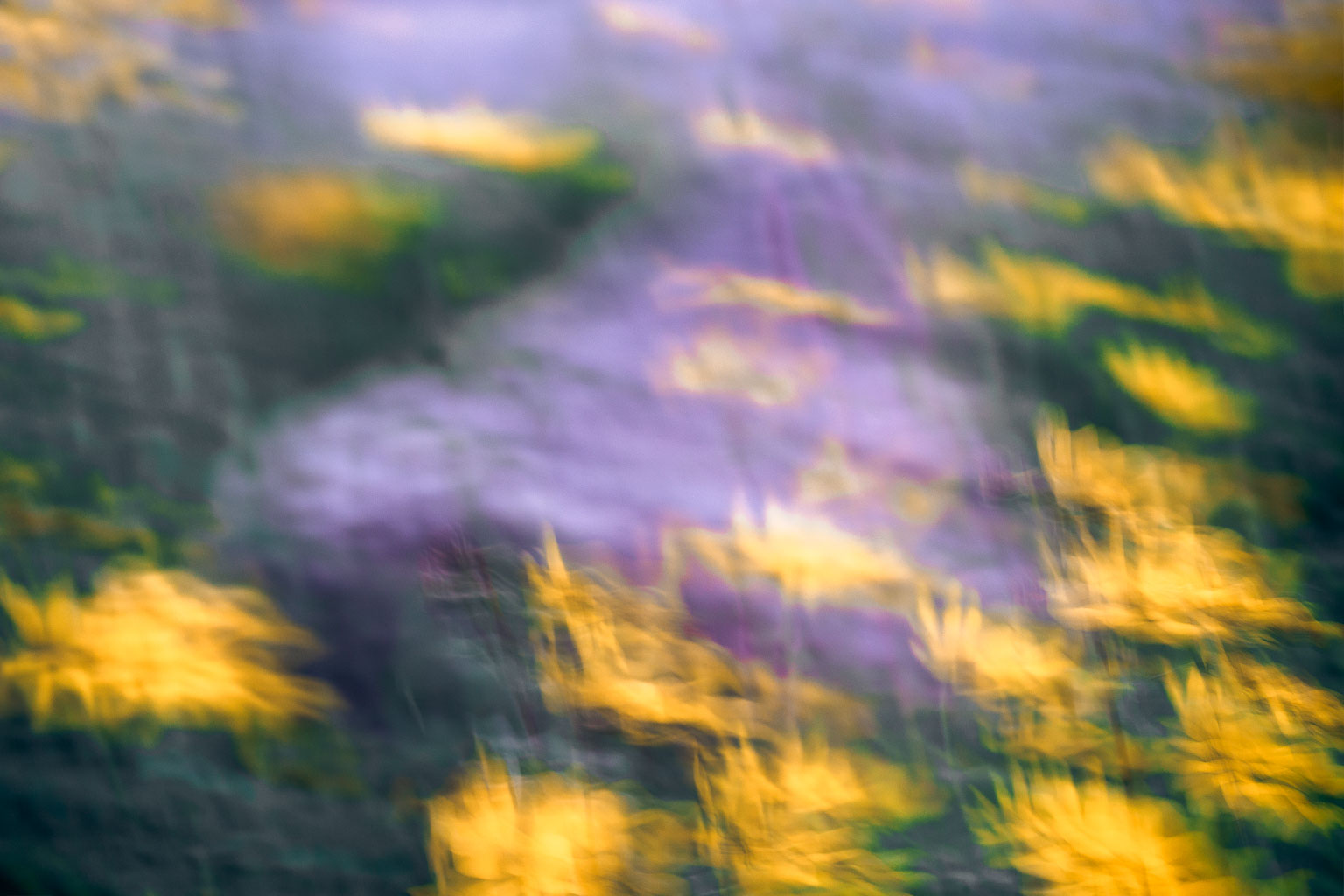 LSF__G9_0079_EDIT_Edit_PS_ICM-VP.jpg